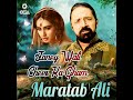 Janey Wali Cheer Ka Gham Maratab Ali Song Janey Wali Cheer Ka Gham Maratab Ali Song