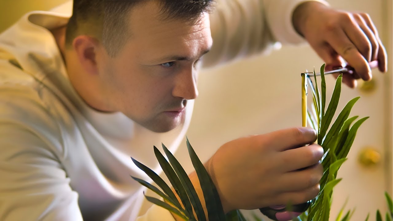 The Dark Side of Perfectionism (and How to Break Free)