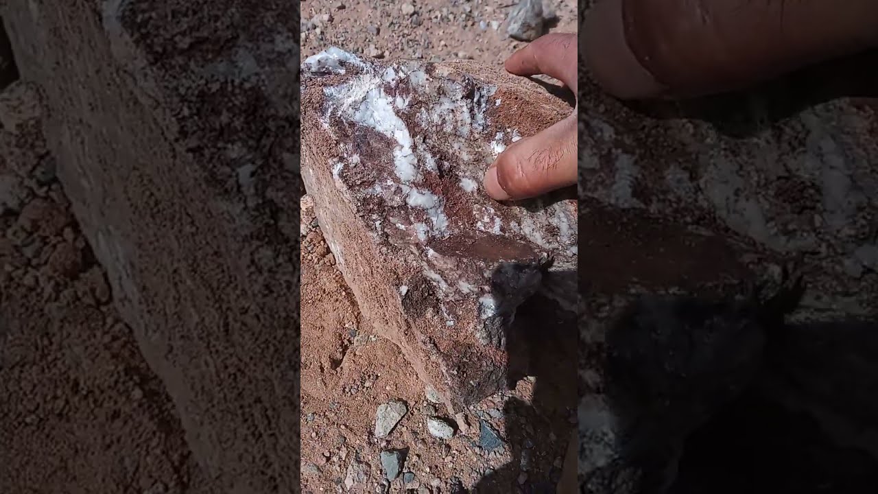 عندما يكون الونه هذا الكوارتز فسوف تجد