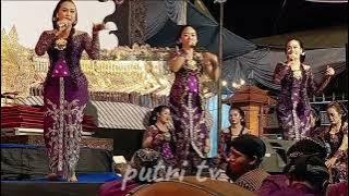 RENGEL ~ ANIFATUL ~ MIA CAMPURSARI KUSUMA WARDANI TERBARU 2025