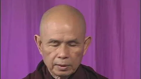 Can Happiness and Survival Go Together? | Thich Nhat Hanh, 2005 11 27 - DayDayNews