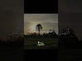Deep Soul Healing Quran Recitation for Heart Serenity and Peace #HolyQuran #QuranRecitation