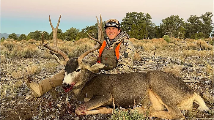 Utah Rifle Mule Deer Hunt | Hunting 2025