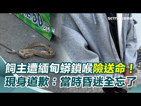 緬甸蟒飼主突遭「大蛇勒小脖」險送命還滑手機？ 本人現身還原：當時半昏迷全忘了！ 飼主道歉做錯示範並向救援民眾及警消致謝｜三立新聞網 SETN.com