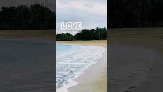 LOVE Walks On The Beach