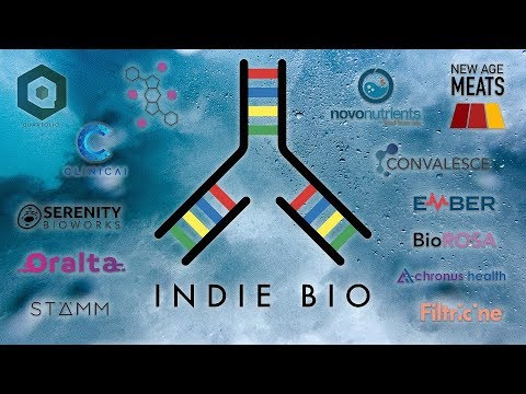 IndieBio Demo Day 7 Clinicai