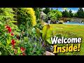 The Most Peaceful Stroll Through My June Garden