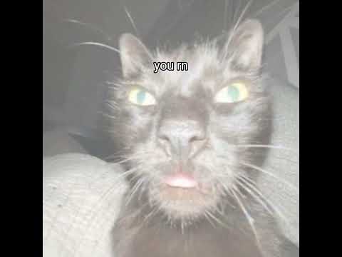 don't watch this when your room dark#trolling#meme