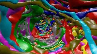 Flight through the mouse retina