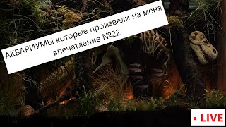 Аквариумы которые произвели  на меня впечатление №22 (Южная Америка, Динозавры, Травники)