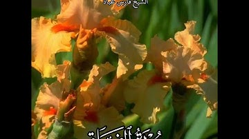 سورة الفلق | الشيخ فارس عباد، استغفر الله العظيم واتوب اليه، تلاوه خاشعه