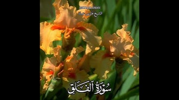 سورة الفلق | الشيخ فارس عباد، استغفر الله العظيم واتوب اليه، تلاوه خاشعه