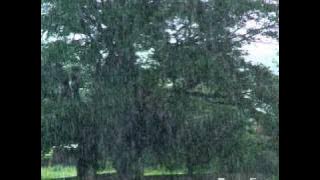 Pashto Tirah Song,Janana Rasha Pa Tirah Ki Ranginey Shaway.