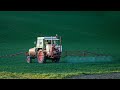 The Potential Dangers of Herbicides | Dr. Buz Kloot