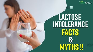 How To Manage Your Diet When You Are Lactose Intolerant