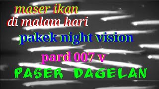Ribuan Ikan Belanak Pada Ngambang Maser Ikan Di Malam Hari