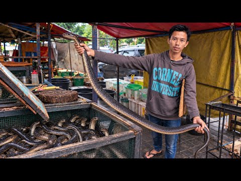 Dangerous Giant King Cobra Eating Street Food | Biggest King Cobra Ever