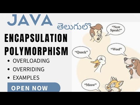 ENCAPSULATION & POLYMORPHISM WITH METHOD OVERLOADING-OVERRIDING IN JAVA ...