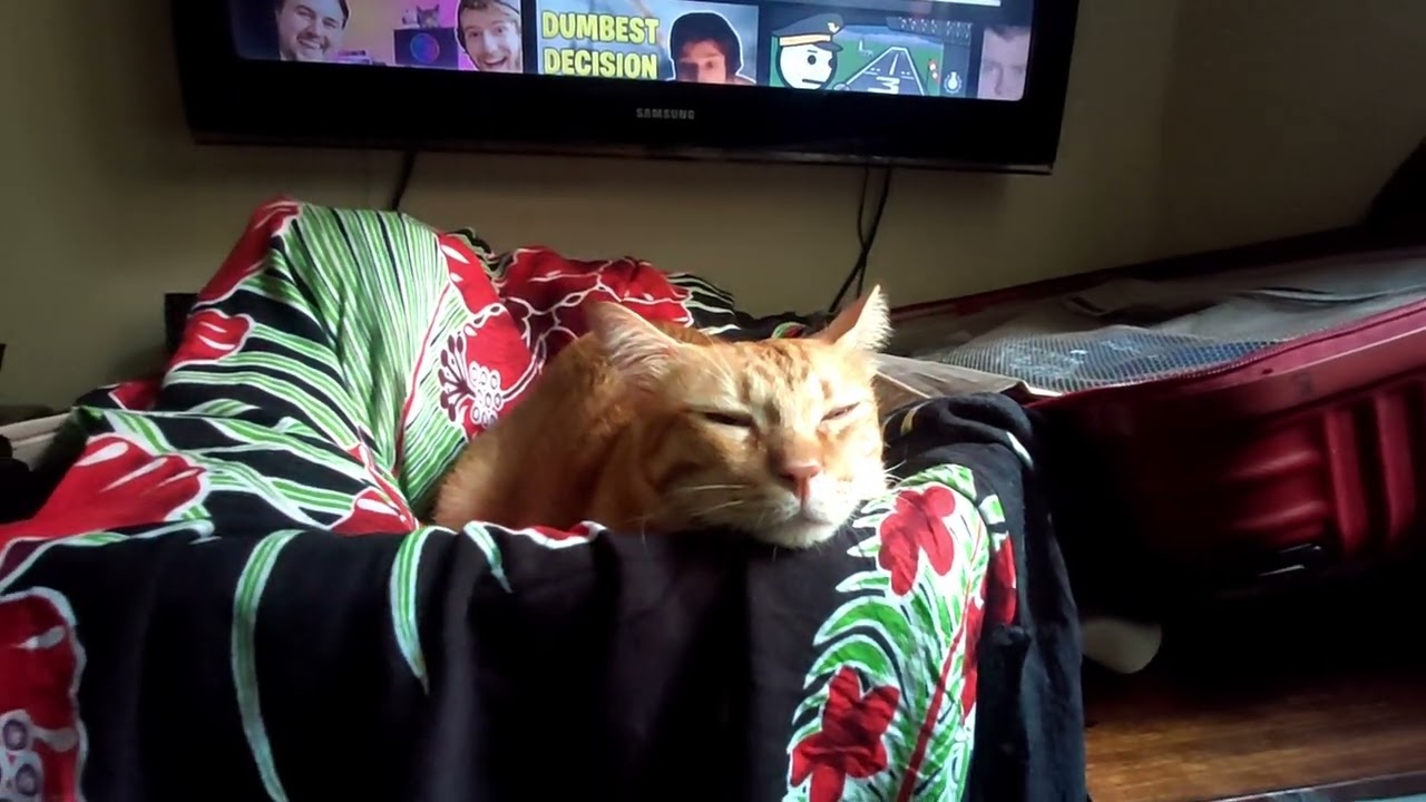 Oh The Misery Meme Face Oh The Misery Meme Face