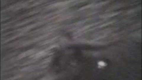 Season #1, Episode-8   Best of BOAR