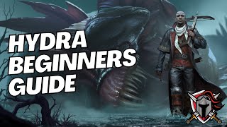 HYDRA BEGINNERS GUIDE - Everything you need to know to improve in hydra | Raid: Shadow Legends