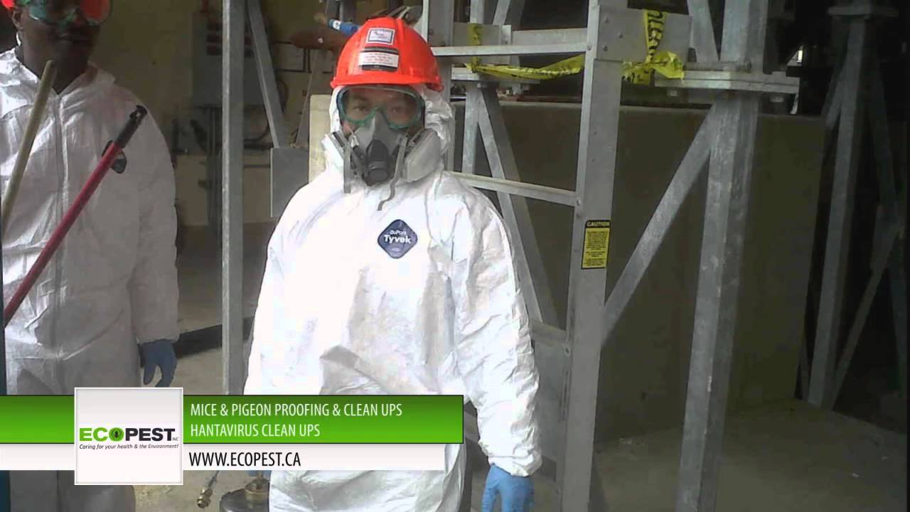 Ecopest Canada - Consumer Choice Award Winner