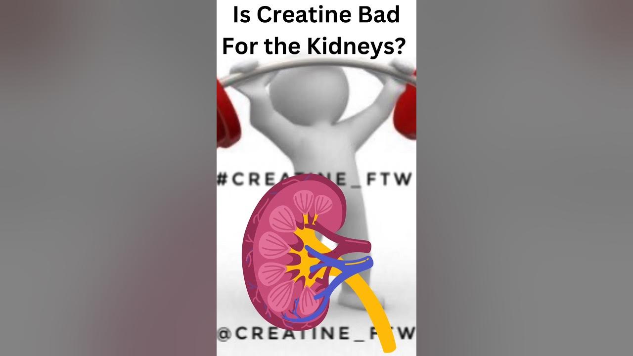Is creatine bad for the kidneys? strength muscle brain shorts 
