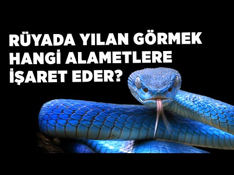 Video: Zaten - suyun yakınında bulunabilen bir yılan