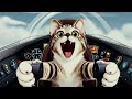 Ron Brunk -- Snaggly (Official Music Video) #animated