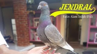 EDISI SPESIAL Jendral - Tim Fatin Alam Indah (FAI)