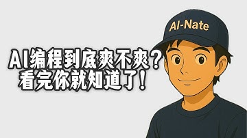 AI 编程到底爽不爽？看完你就知道了！