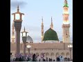 جديد المادح /#الخير_الشليبي#انا_شاقا_شوقي_وشاق #الراوي_الشريف_حسن_النادر