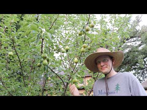 Wisconsin VEGO Garden Tour - 8.15.26