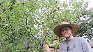 Wisconsin VEGO Garden Tour - 8.15.26