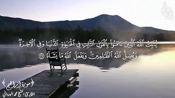 وأُدخل الذين آمنوا | آيات كريمات من سورة إبراهيم بصوت القارئ محمد الورداني | Mohamed Elwardani