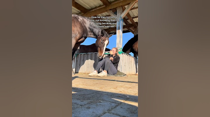 Her horse tried to make to make her feel better ❤️