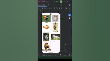 GridView Item Klik met Toast | Android Kotlin-truc in de jaren 60