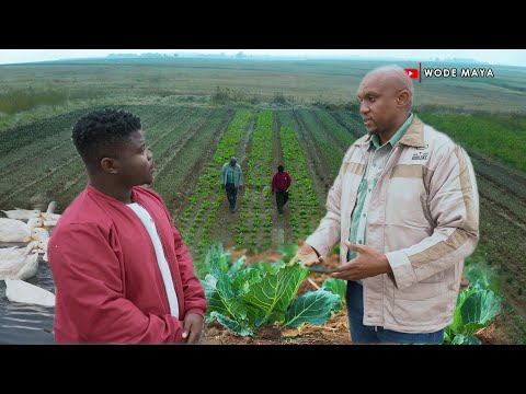 We Don't Own The Land As Black South Africans But We Still Need To Farm!