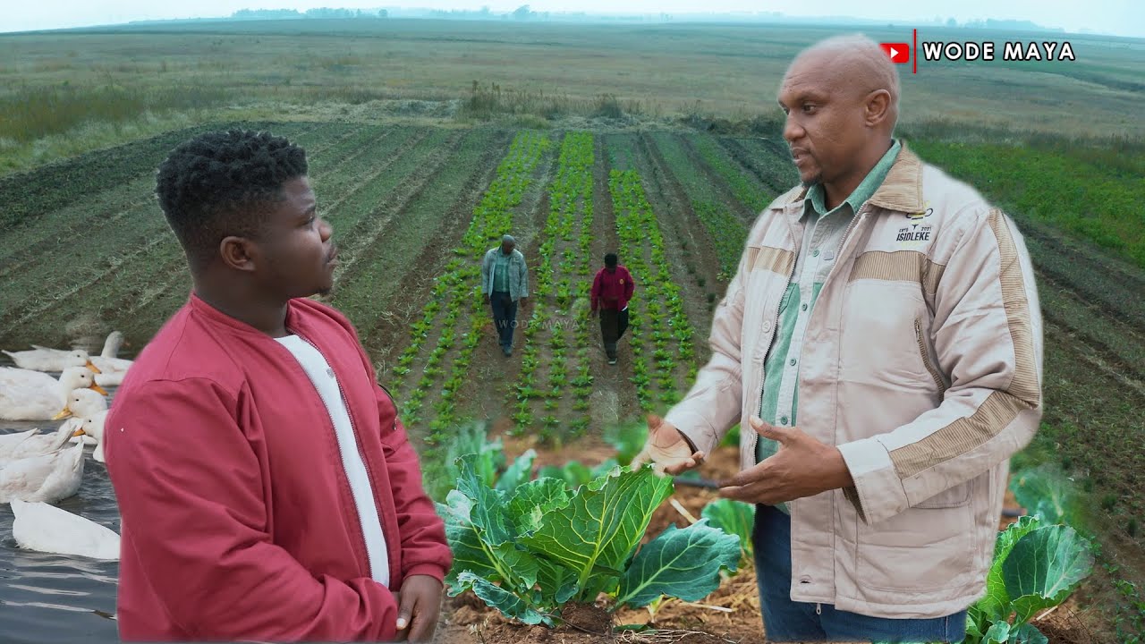 We Don't Own The Land As Black South Africans But We Still Need To Farm!