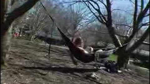 theU.com - UVA: "The Crowd"