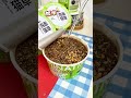 Buying this malt hay for your parrot is healthy, beautiful feather growth. #ParrotMaltHay
