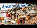 First Views On MV Dali Ship After Bridge Exploded Off