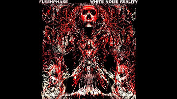 Lyric Video - Overcorrection by FLESHPHASE