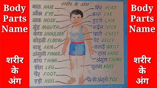50 Body Parts Name In Hindi And English Human Body Parts, 55% OFF