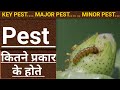 what is the Category of Pest।Pest कितने प्रकार के होते हैं। Endemic Epidemic।Key pest।ETL EIL GEP।