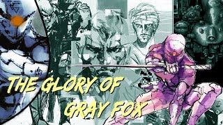 The Glory of Gray Fox