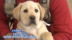 まさはる君が行く ポチたまペット大集合 Youtube