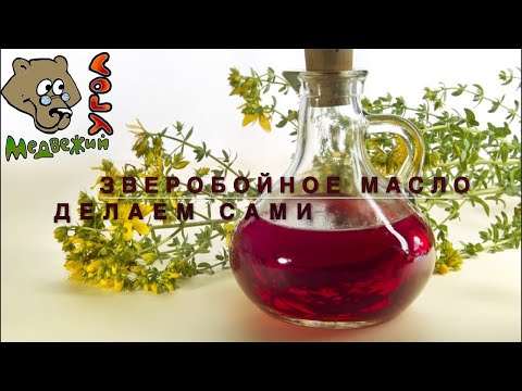 ЗВЕРОБОЙНОЕ МАСЛО - делаем сами