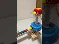 Marble run Bird 良い音♪ASMR #funny #satisfying #marblesrace #bouncymarble