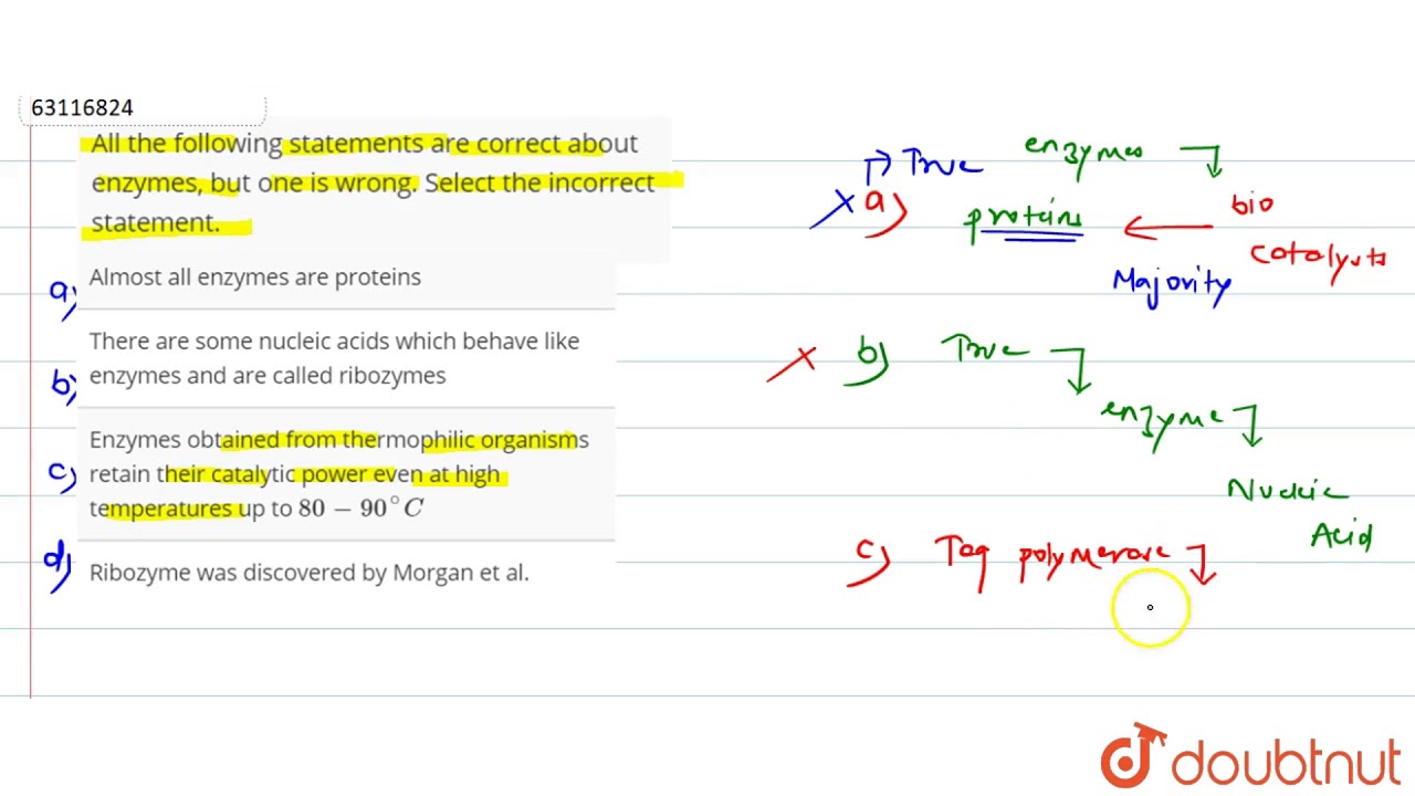 Which of the following statements concerning protein structure is correct?. Which of the following statements is correct. Функции only. Which of the following statements is correct. Which.